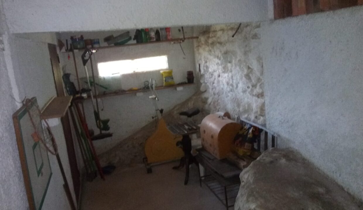 WhatsApp Image 2026-02-14 at 12.32.42 PM (2)