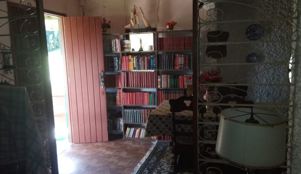 WhatsApp Image 2026-02-14 at 12.32.43 PM