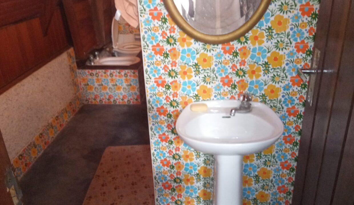 WhatsApp Image 2026-02-14 at 12.32.45 PM